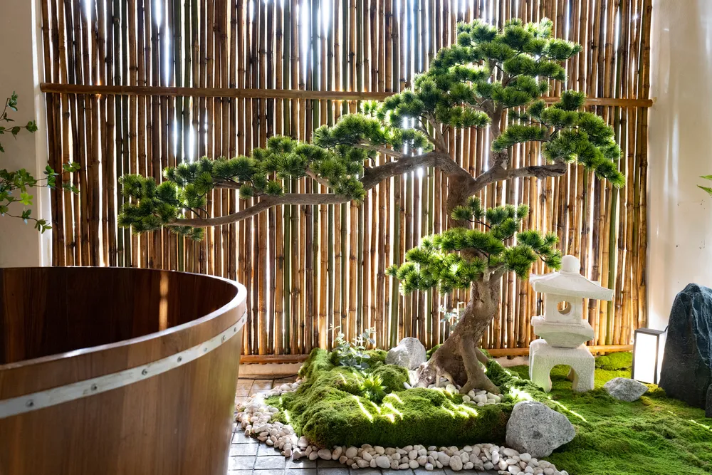 สวนไม้ไผ่